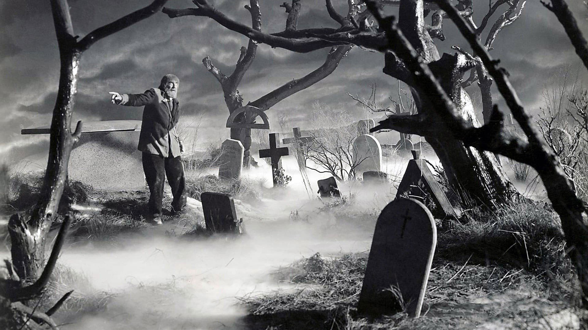 O Filho de Frankenstein