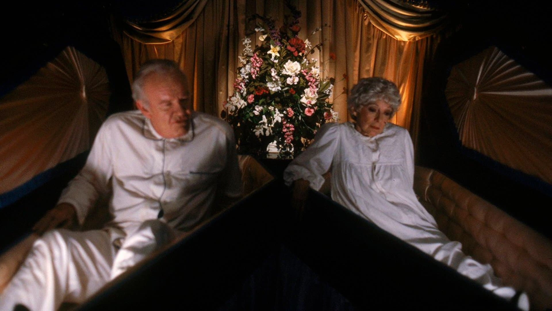 O Retorno À Terra de Salém